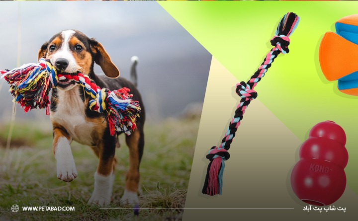 بهترین برند اسباب بازی سگ ها