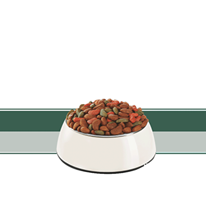  تصویر محتویات غذای خشک سگ رفلکس مدل Adult Lamb & Rice & Vegetable وزن ۱۵ کیلوگرم 