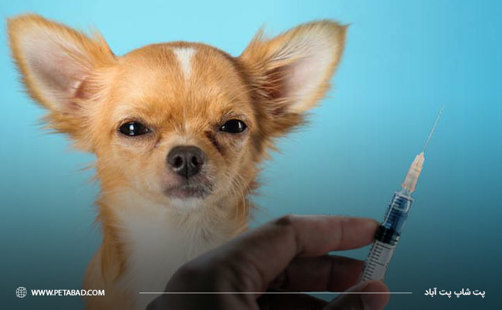 واکسن دیستمپر در سگ‌ها