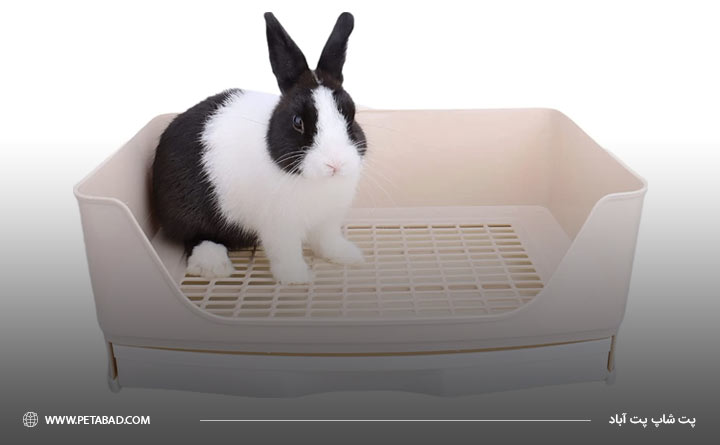 آشنایی با راهنمای خرید ظرف دستشویی خرگوش