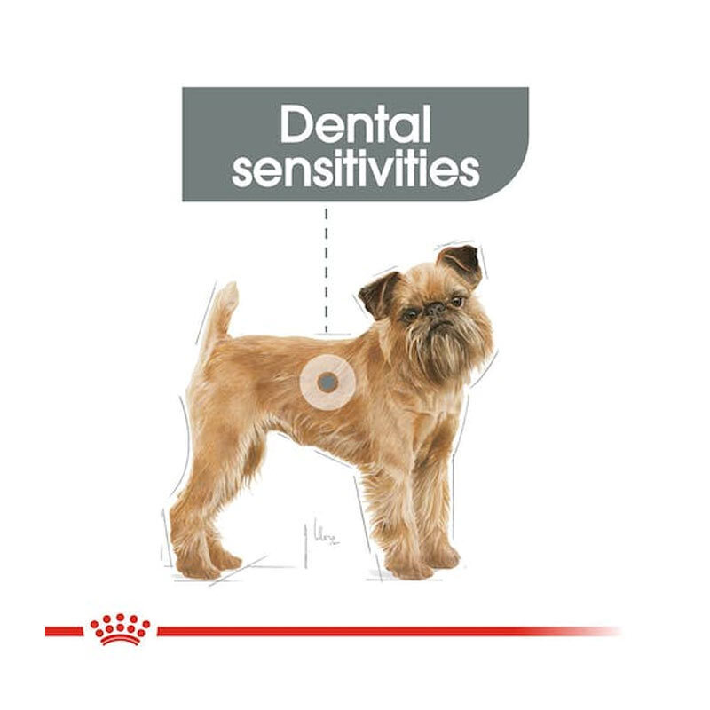  تصویر ویژگی غذای خشک سگ دنتال رویال کنین Royal Canin Dental Care Mini وزن 3 کیلوگرم 