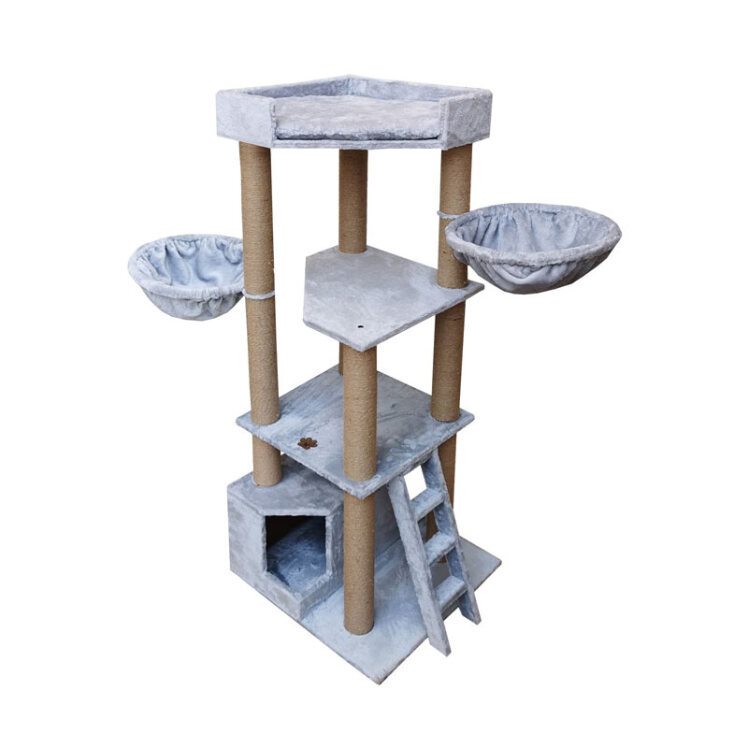 تصویر از رو به رو درخت گربه هیواپت طرح A82