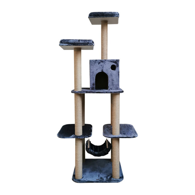 تصویر از رو به رو درخت گربه هیواپت طرح A75