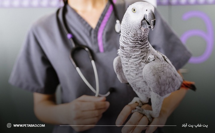 تشخیص انواع مختلف بیماری در پرندگان