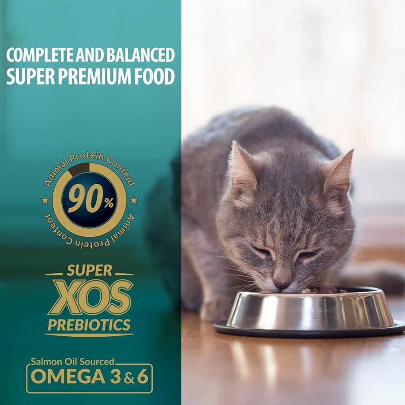  عکس تبلیغاتی درباره ویژگی های غذای خشک گربه رفلکس پلاس مدل Adult Chicken وزن 1.5 کیلوگرم 