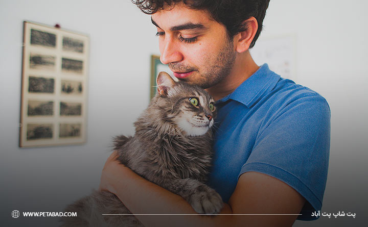 محبت کردن به گربه
