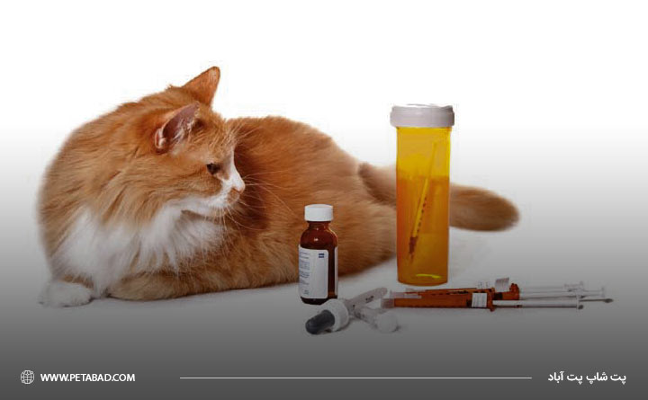 بسته های قرص و دارو ها را در محلی مناسب دور از چشم گربه نگه داری کنید