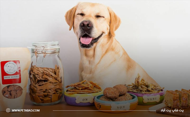 غذاهای تشویقی متنوع سگ