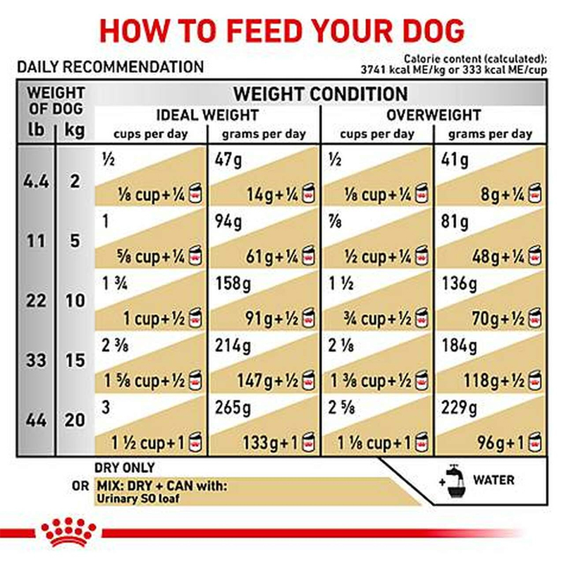  راهنمای تغذیه غذای خشک سگ رویال کنین مدل Urinary S/O وزن 2 کیلوگرم 