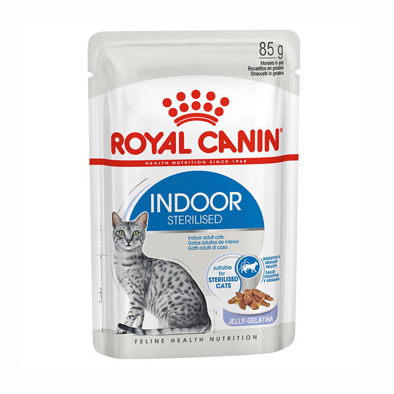 royal canin kitten indoor