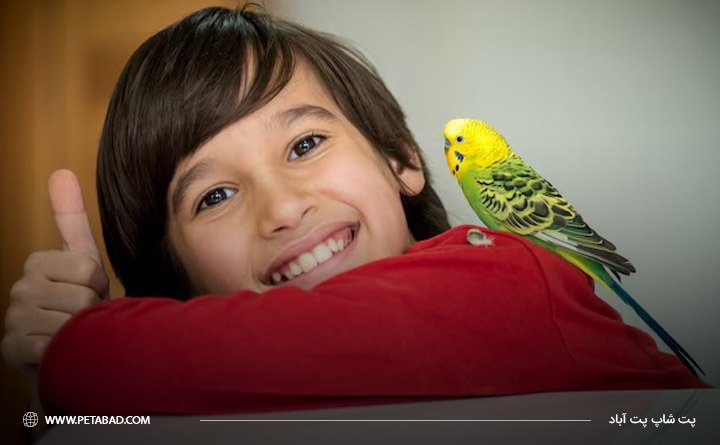 مزایای نگهداری پرنده خانگی برای کودکان