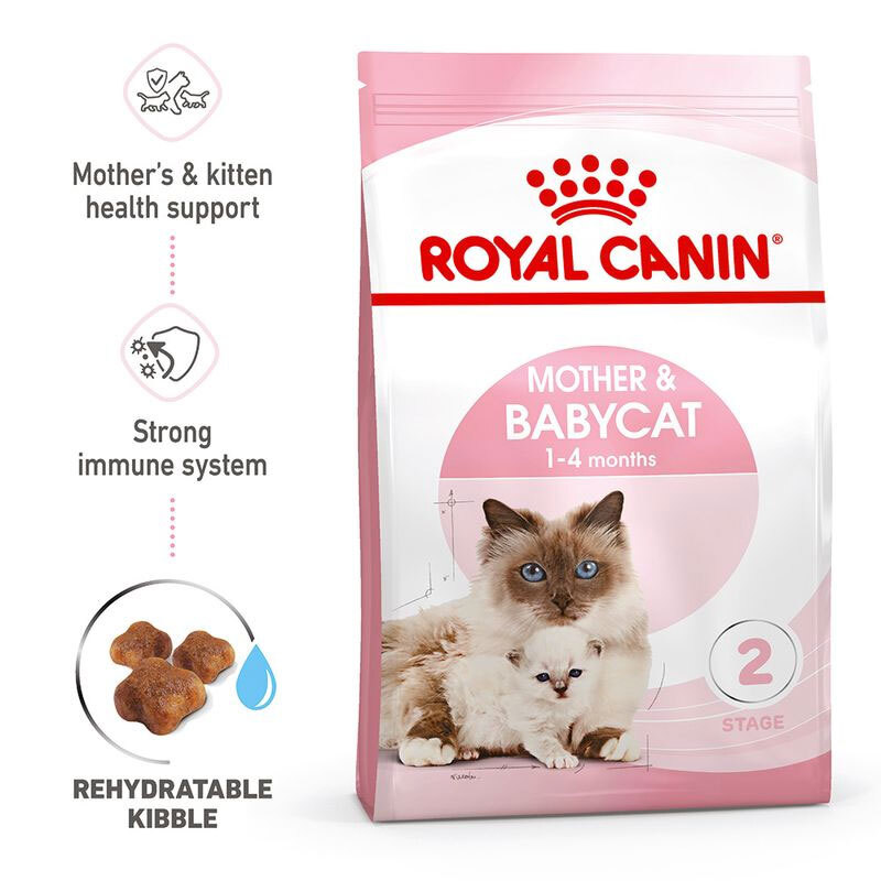  عکس همراه جزییات تبلیغاتی غذای خشک مادر و بچه گربه رویال کنین Royal Canin Mother & Babycat وزن 4 کیلوگرم 