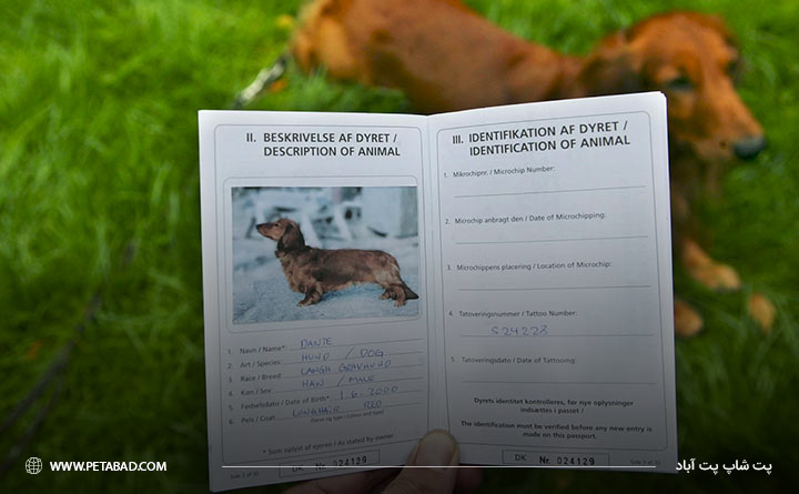 مدارک لازم برای حمل حیوان خانگی