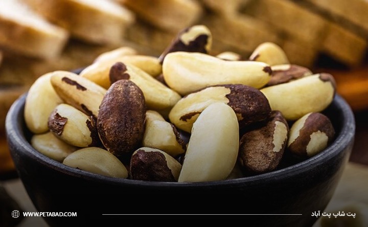 انواع آجیل سمی برای سگها : آجیل برزیلی