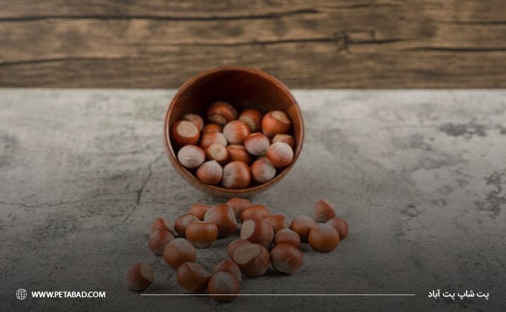 انواع آجیل سمی برای سگها: آجیل ماکادمیا