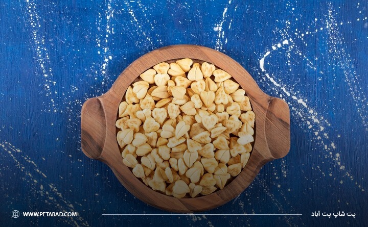 آجیل قابل استفاده برای سگ