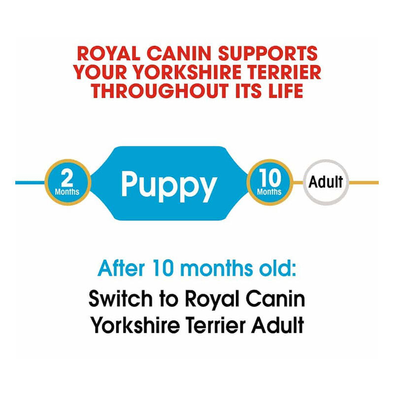  تصویر توضیحات غذای خشک توله سگ رویال کنین مدل Puppy Yorkshire Terrier وزن 1.5 کیلوگرم 