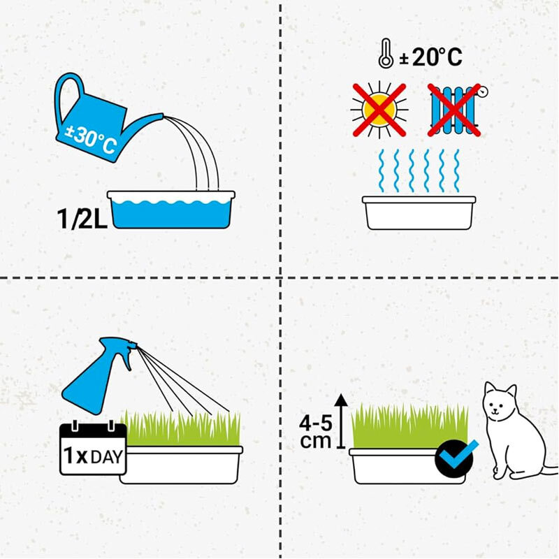  راهنمای تصویری کاشت بذر علف گربه با رایحه علفزار جیم کت GimCat Cat Katzen-Gras وزن 100 گرم 