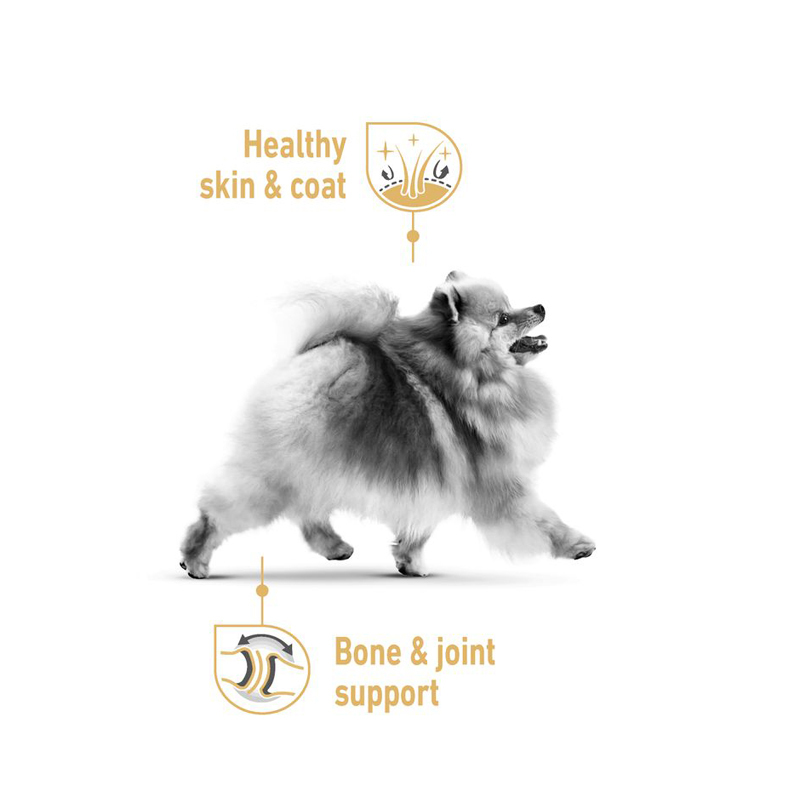  تصویر تاثیر پوچ Royal Canin Adult Pomeranian بر سلامتی سگ 