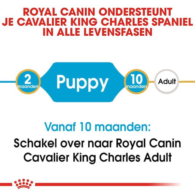  تصویر توضیحات غذای خشک توله سگ نژاد کاوالیر رویال کنین Royal Canine Cavalier King Charles Puppy وزن 1.5 کیلوگرم 