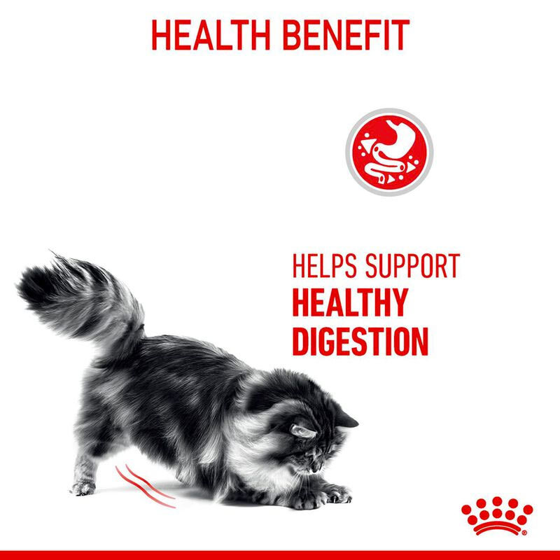  عکس تبلیغاتی غذای خشک گربه حمایت از سیستم گوارش رویال کنین مدل Royal Canin Digestive Care 