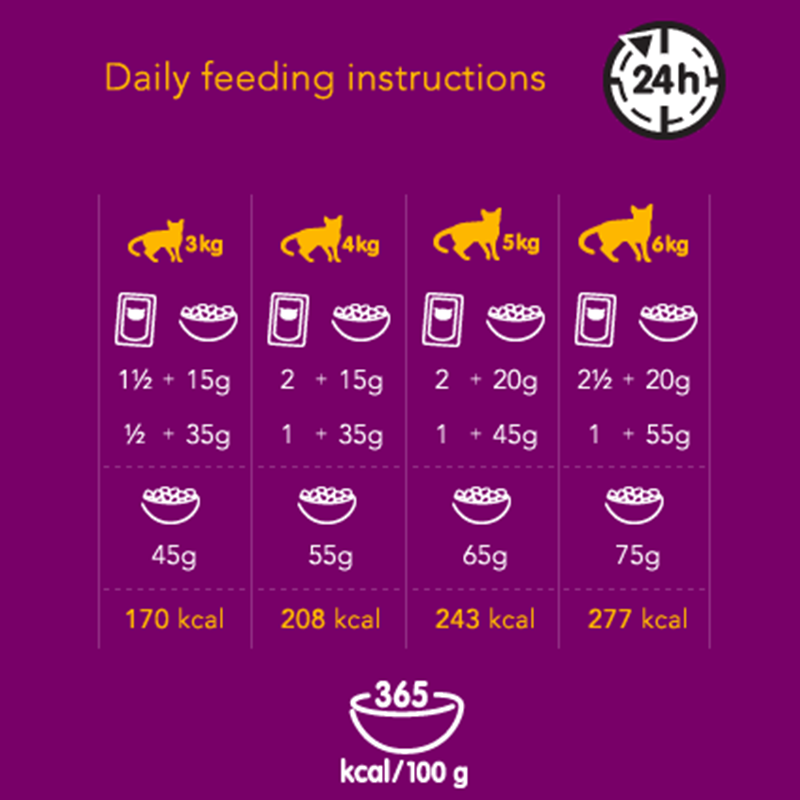  عکس راهنمای تغذیه غذای خشک گربه ویسکاس مدل Adult Chicken وزن 1.2 کیلوگرم 