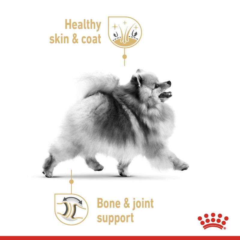  عکس تبلیغاتی غذای خشک سگ رویال کنین مدل Adult Pomeranian وزن 1.5 کیلوگرم 