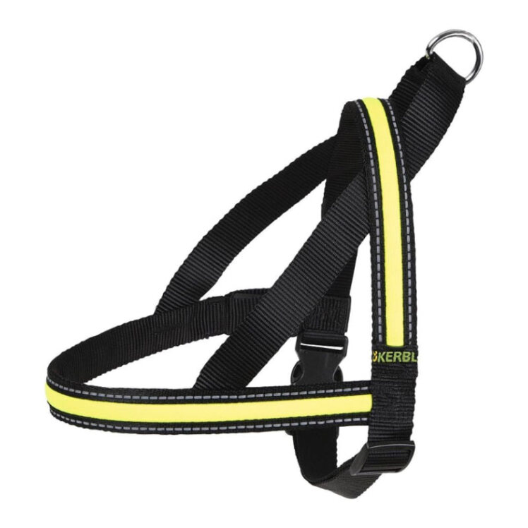 تصویر قلاده کتفی شبرنگ سگ کربل Kerbl Light & Flex Flashing Harness سایز L از نمای رو به رو