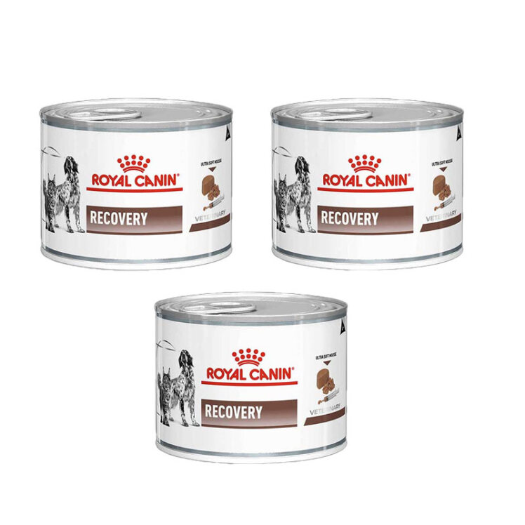 تصویر توضیحات بسته کنسرو غذای سگ و گربه ریکاوری رویال کنین Royal Canin Pack Recovery