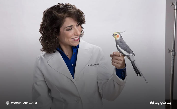 یافتن دامپزشک مورد اعتماد برای پرنده