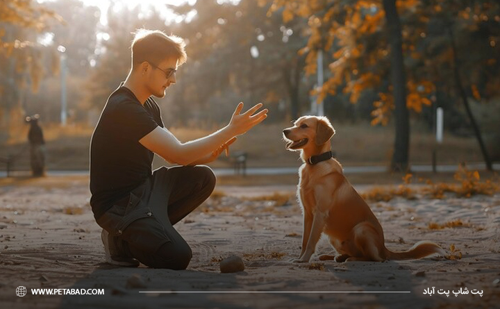 چگونه از آلفا شدن سگ جلوگیری کنیم: الفای سگ خود شدن
