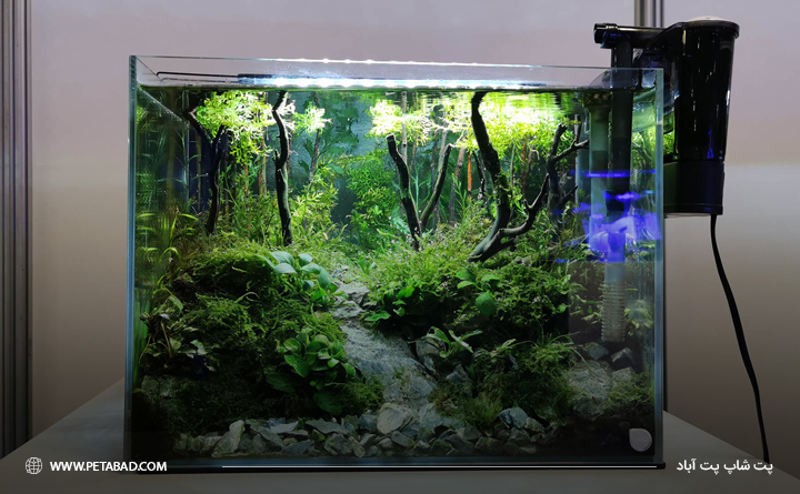 تجهیزات مورد نیاز آکواریوم: فیلتر آکواریوم