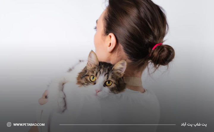 بیماری کوکسیدیا در گربه چیست؟
