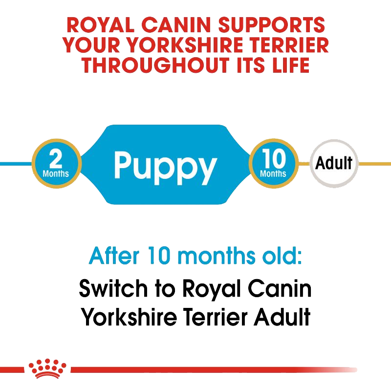  عکس مشخصات غذای خشک سگ رویال کنین مدل Puppy Yorkshire Terrier وزن 1.5 کیلوگرم 