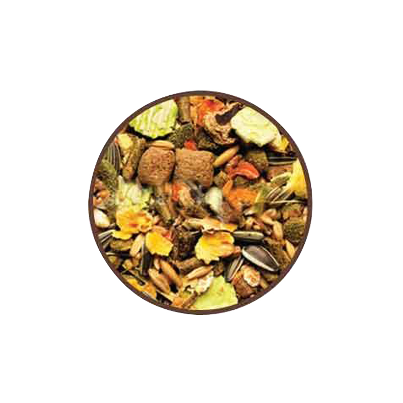  عکس محتویات خوراک آجیلی جوندگان تاپ فید مدل Rodents Complete Food وزن 1 کیلوگرم 
