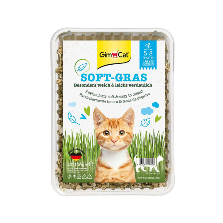 عکس مرحله اضافه کردن آب به بذر علف گربه جیم کت GimCat Cat Soft-Gras 
