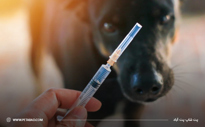 واکسن هاری سگ 