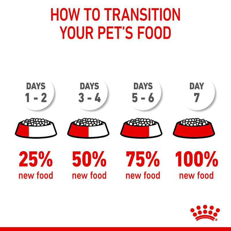  راهنمای تصویری انتقال از یک غذا به غذای غذای خشک مراقبت از دستگاه گوارش گربه رویال کنین Royal Canin Digestive Care وزن 4 