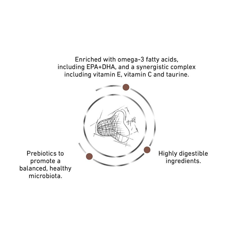  تصویر دانه بندی غذای خشک گربه رویال کنین مدل Gastrointestinal Fibre Response وزن 2 کیلوگرم 