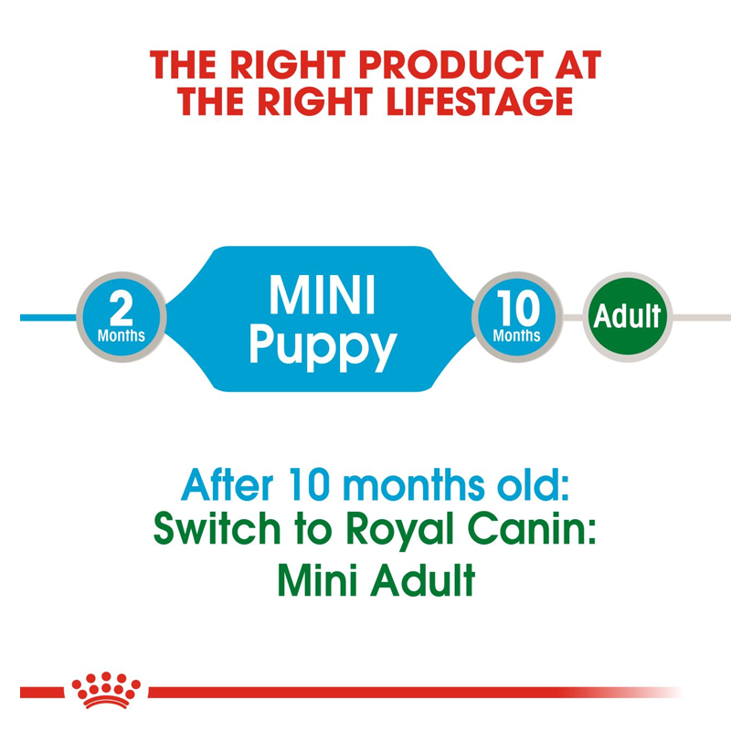  عکس توضیحات پوچ سگ رویال کنین مدل Mini Puppy وزن ۸۵ گرم 