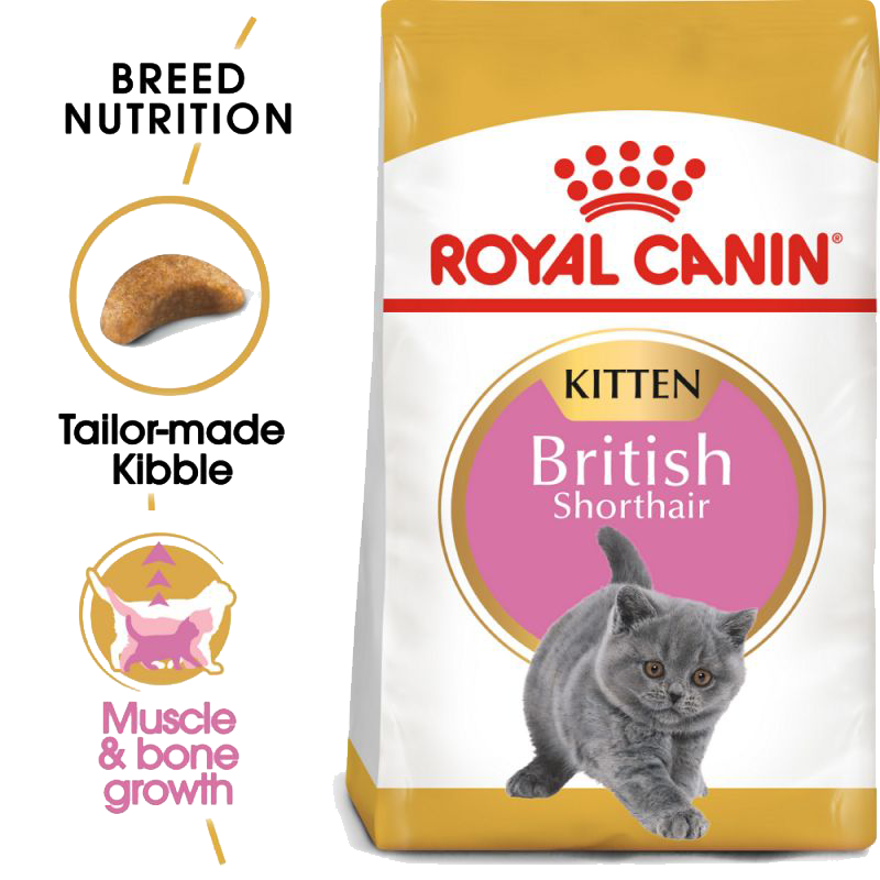  عکس جزییات غذای خشک گربه رویال کنین مدل Kitten British Shorthair وزن ۲ کیلوگرم 