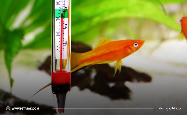 تجهیزات مورد نیاز آکواریوم: دماسنج
