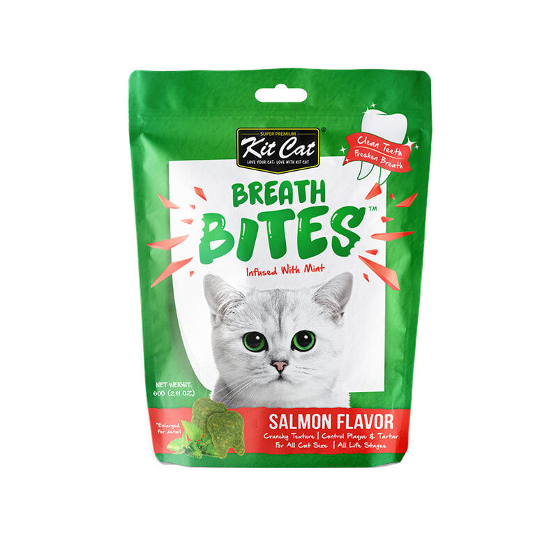  تصویر تشویقی دنتال گربه کیت کت با طعم ماهی سالمون KitCat Breath Bites Salmon وزن 60 گرم 