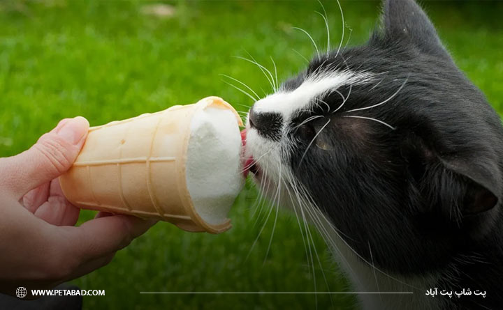 بستنی گربه چیست؟