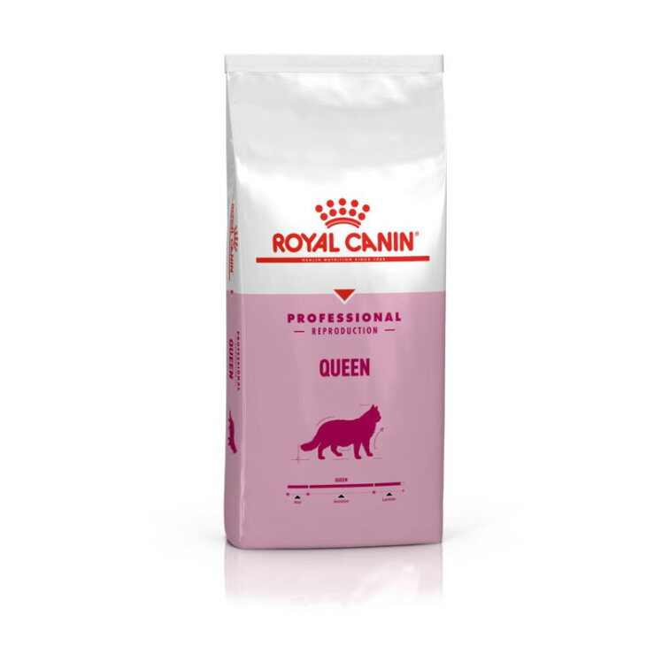 تصویر غذای خشک گربه مادر کویین رویال کنین Royal Canin Professional Queen وزن 4 کیلوگرم