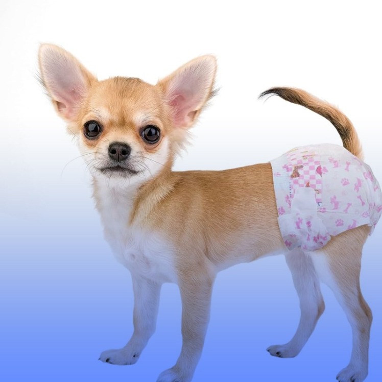 در چه صورت از پوشک سگ استفاده کنیم؟