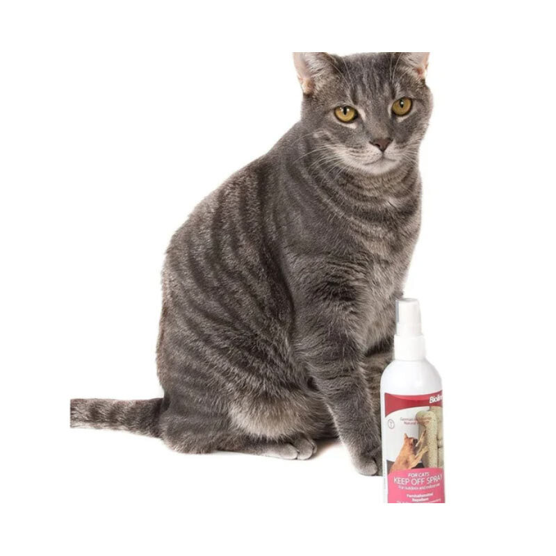  تصویر 2 اسپری دور کننده گربه بایولاین Bioline Keep Off Spray For Cats 