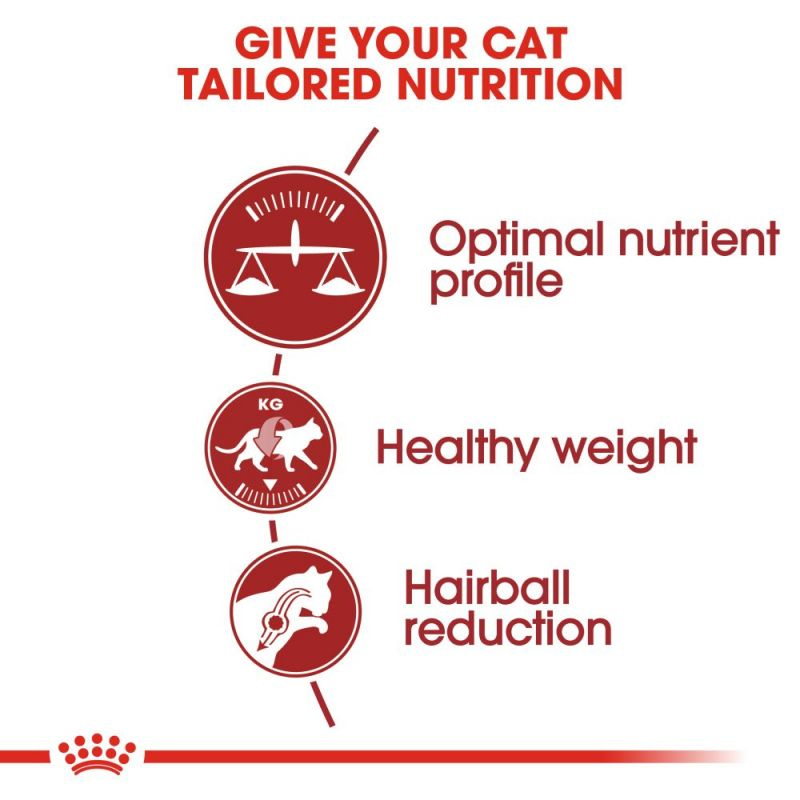  عکس توضیحات غذای خشک گربه رویال کنین مدل Regular Fit 32 وزن 10 کیلوگرم 