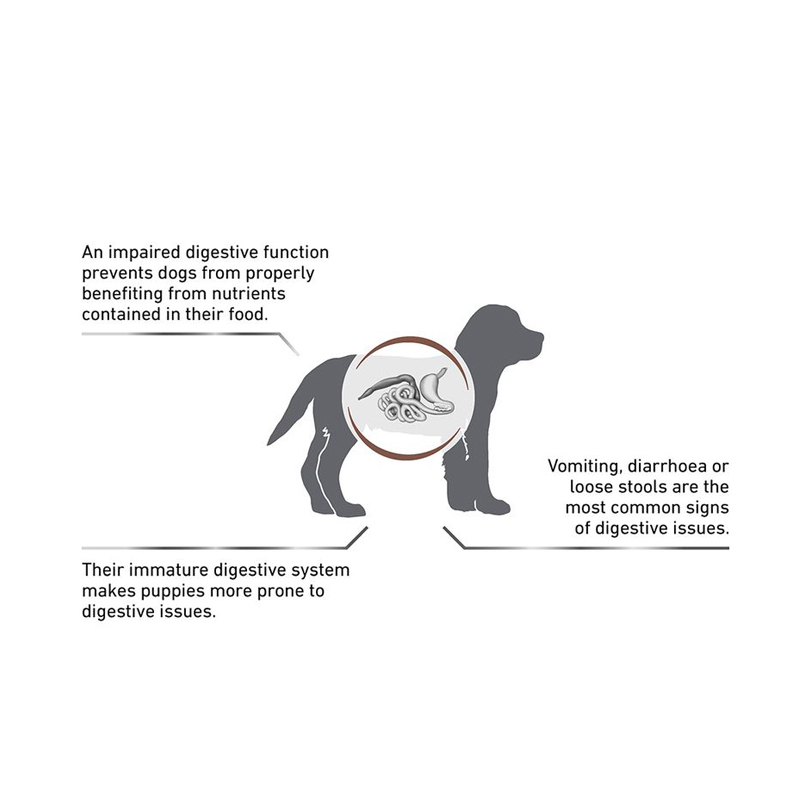  تصویر توضیحات غذایی Royal Canin Gastrointestinal Puppy وزن 1 کیلوگرم 