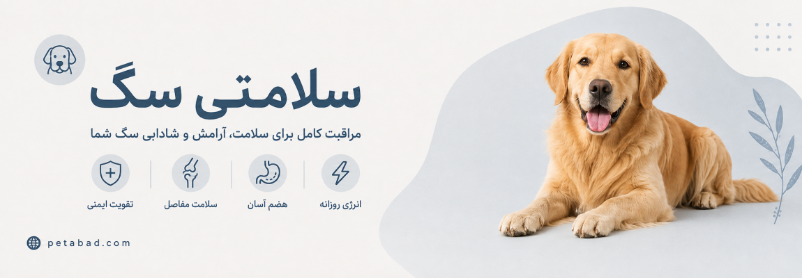 بنر محصولات سلامتی سگ در سایت پت آباد سلامتی سگ | پت آباد | Petabad